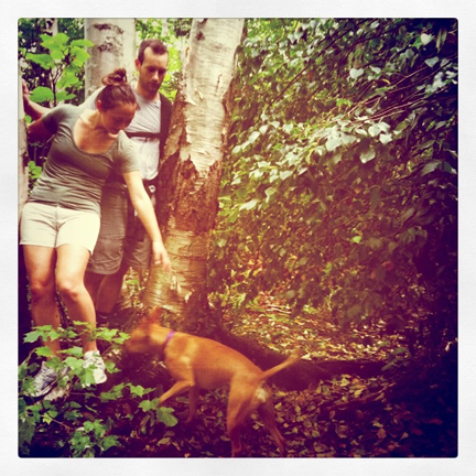 Hunger Mountain hike
